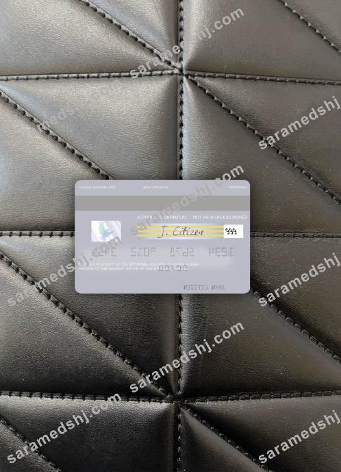 Iceland MP Banki visa debit card photolook back